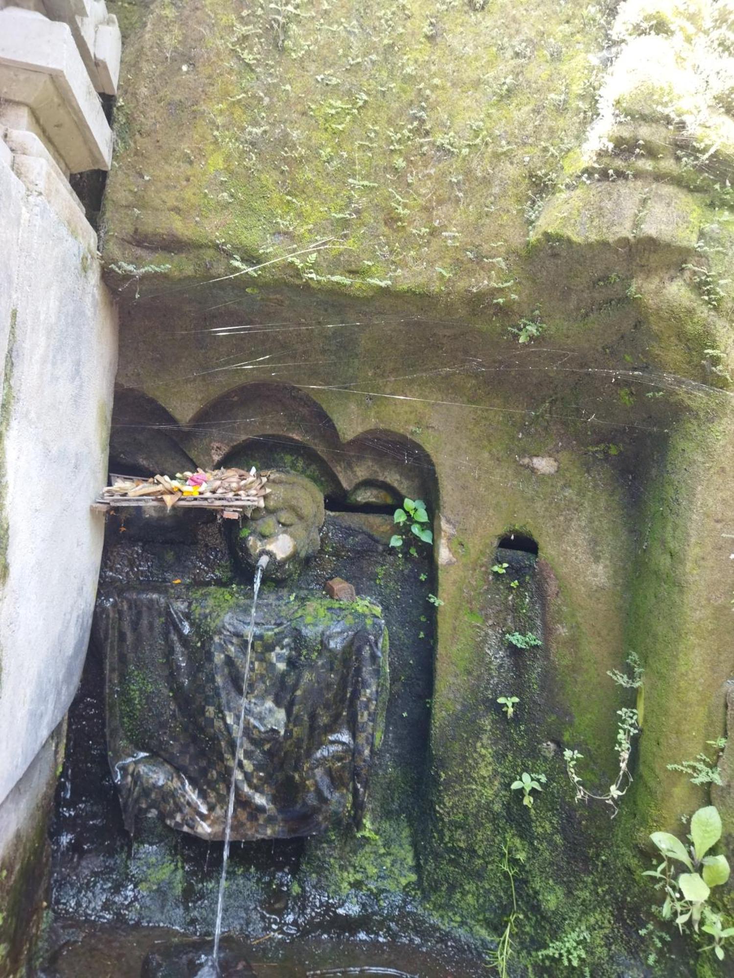 ホテル Wahwik'S House ウブド エクステリア 写真