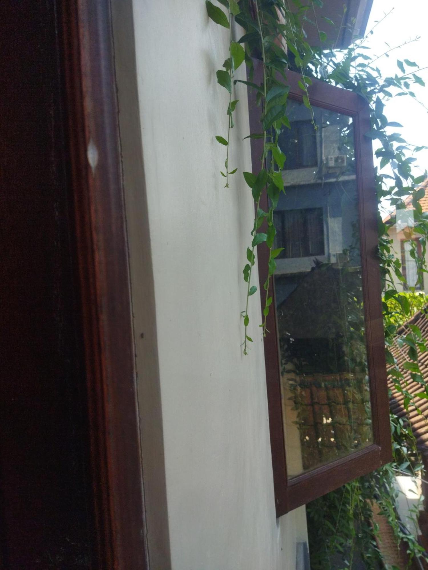 ホテル Wahwik'S House ウブド エクステリア 写真