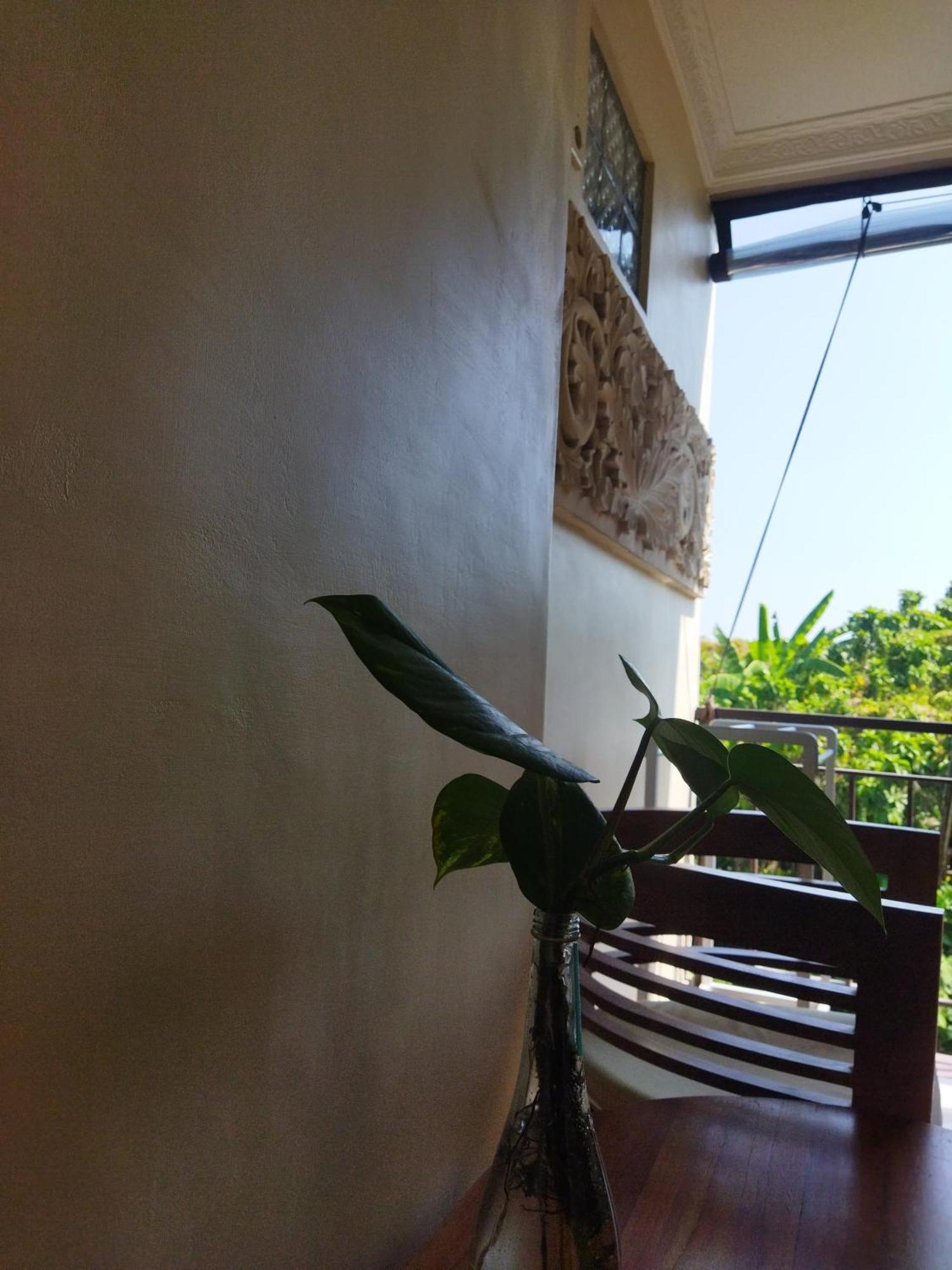 ホテル Wahwik'S House ウブド エクステリア 写真