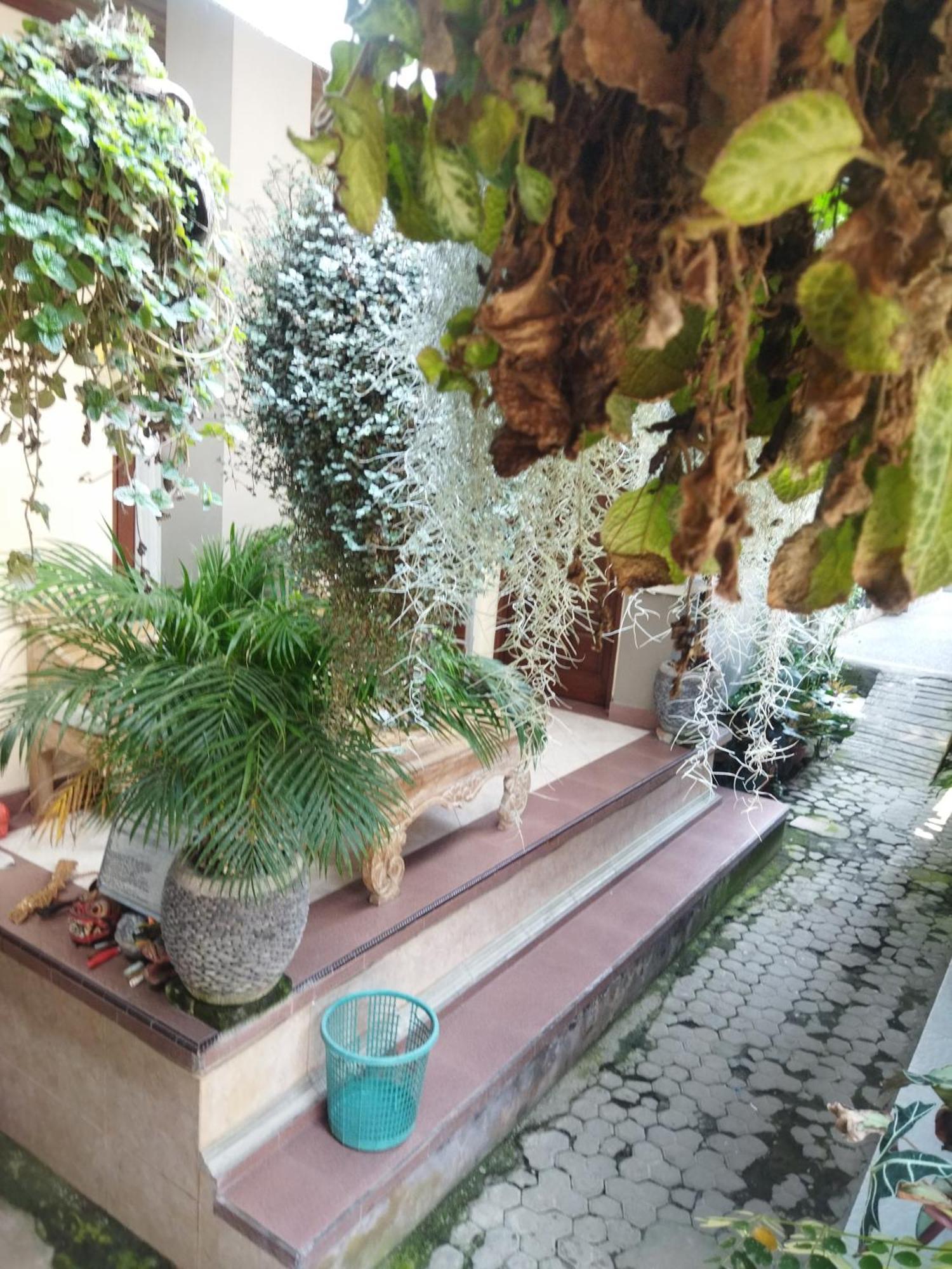 ホテル Wahwik'S House ウブド エクステリア 写真